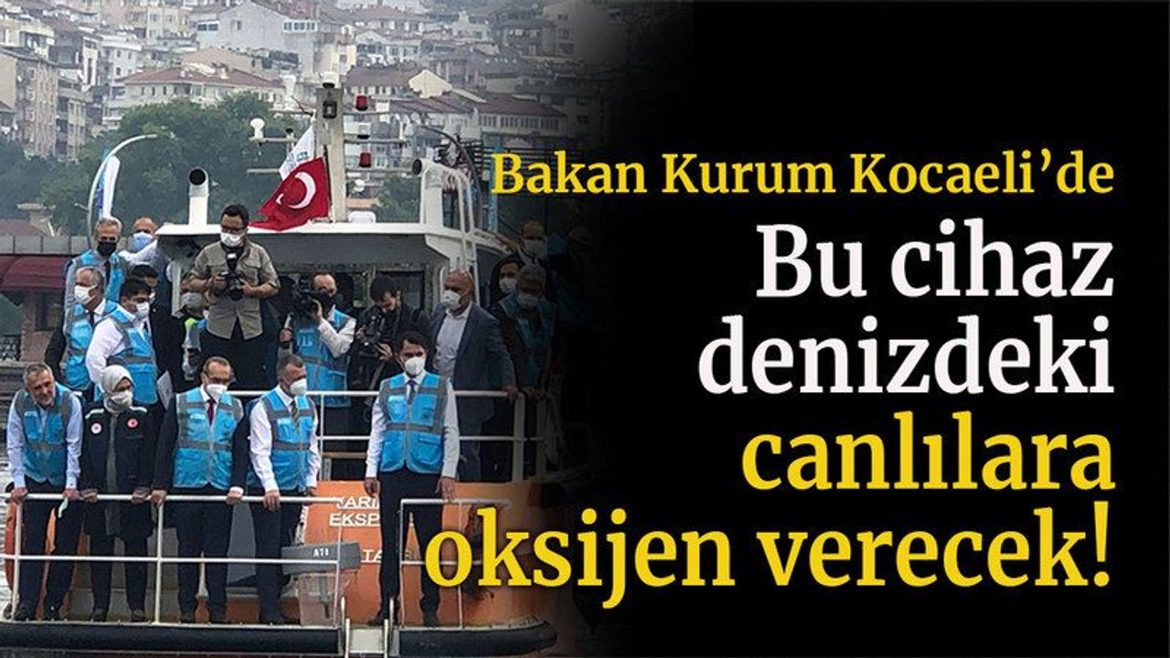 Bakan Kurum Kocaeli’de Bu cihaz denizdeki canlılara oksijen verecek!